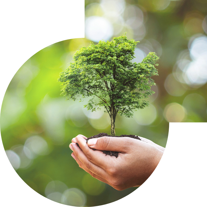 關懷人類、文化、環境與社會